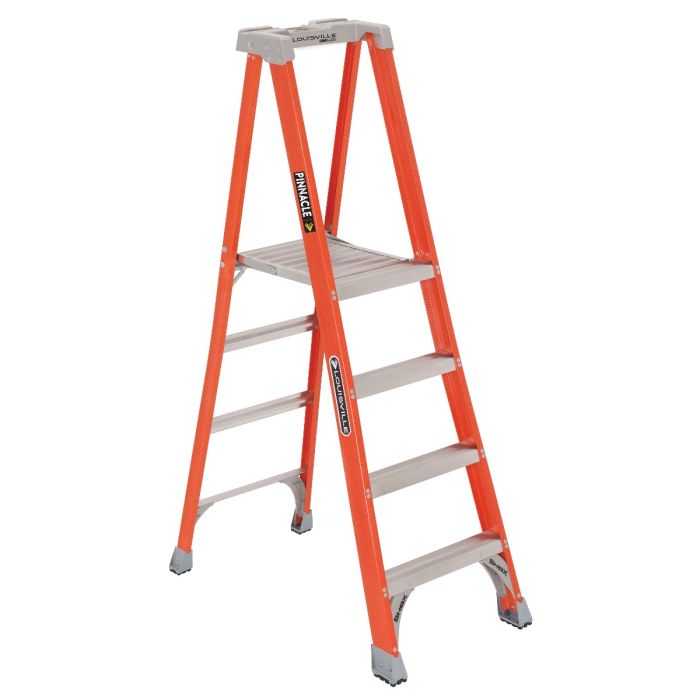 Ladder with deals platform and handrail